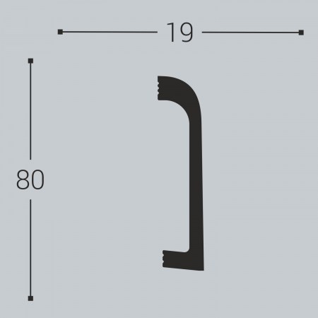 p16-80-19-1_1737545052