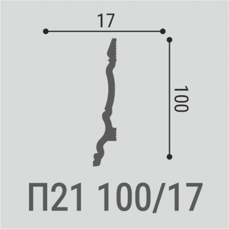 p21-100-17_1743147624_1743661030