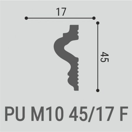 pu-m10-45-17-1_1737465821